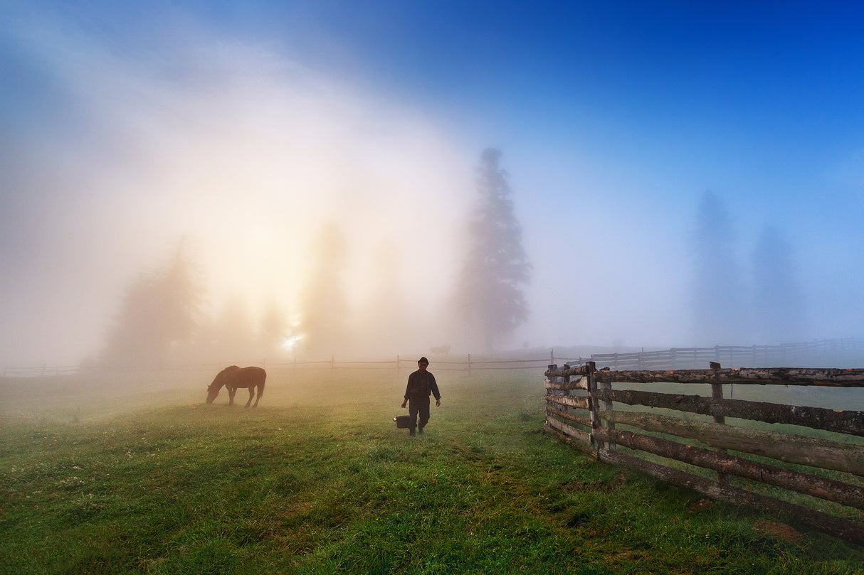 Sunrise in Bucovina ! Poster och Canvastavla