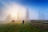 Sunrise in Bucovina ! Poster och Canvastavla