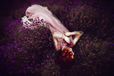 In dreams of lavender fields, dancing in the summer sun, is where I always find her Poster och Canvastavla