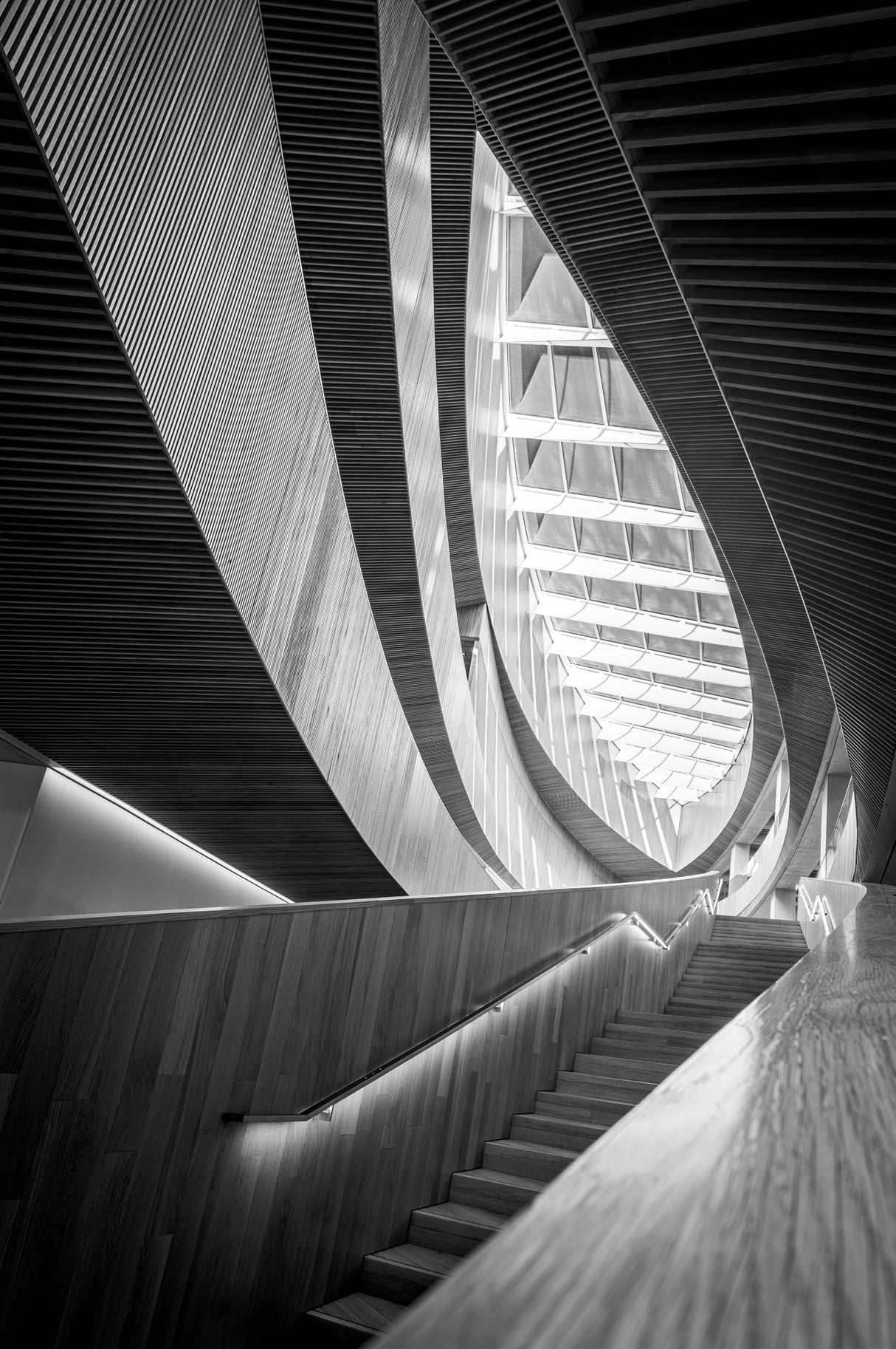 Monochrome Lines Poster och Canvastavla