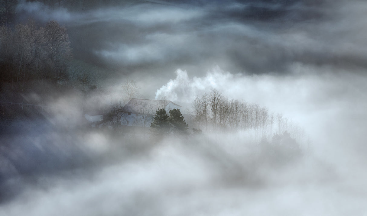 Fog in the morning Poster och Canvastavla