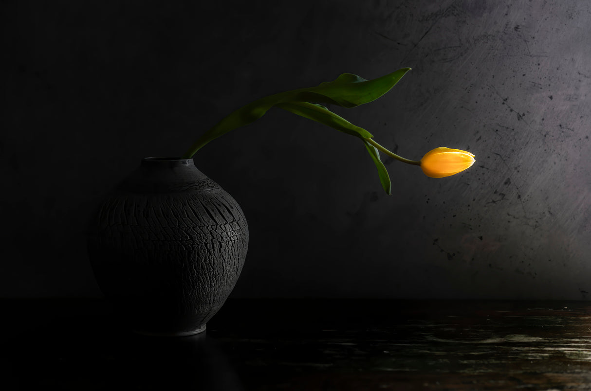 Gray and yellow still life Poster och Canvastavla