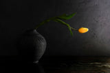 Gray and yellow still life Poster och Canvastavla