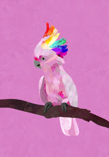 Pride Galah Poster och Canvastavla