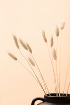 Bunny Grass Peach 01 Poster och Canvastavla