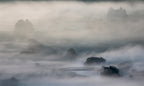 Mist Poster och Canvastavla