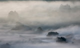 Mist Poster och Canvastavla