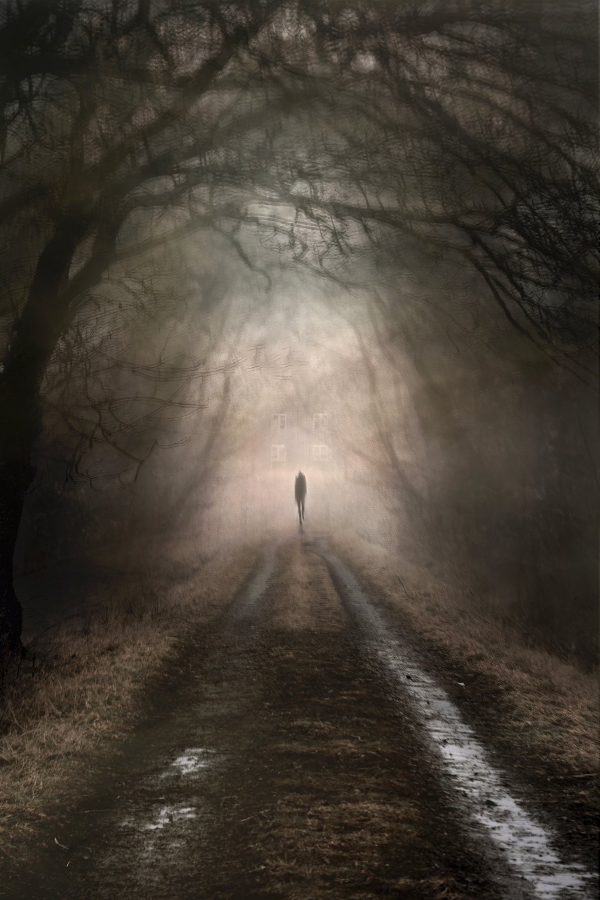 Going home Poster och Canvastavla