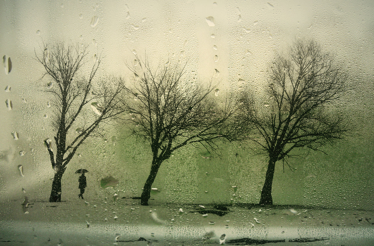 RAIN Poster och Canvastavla