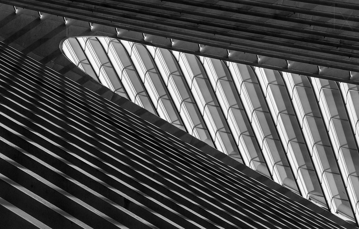 Light meets shadows Poster och Canvastavla