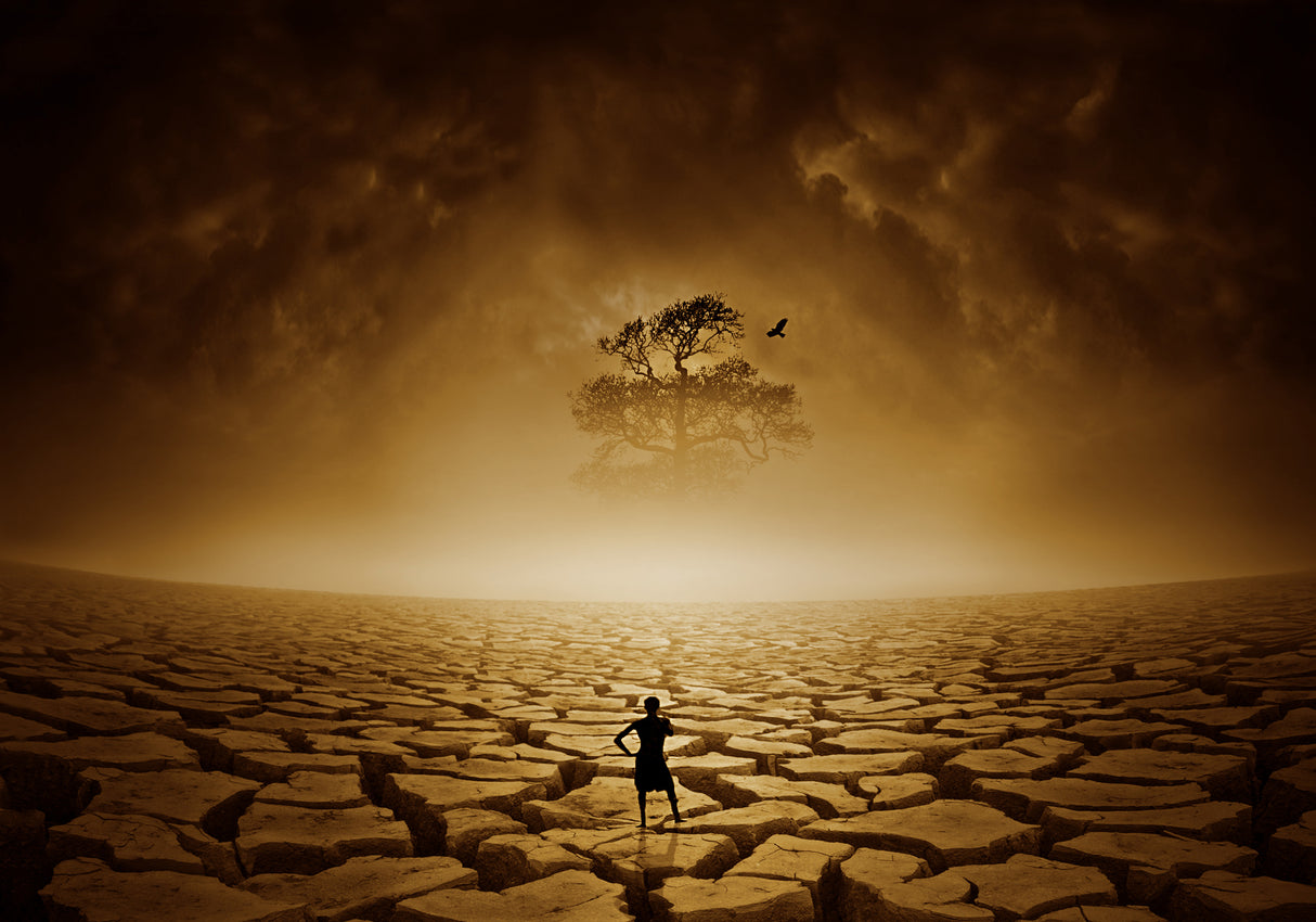 Last Hope Poster och Canvastavla