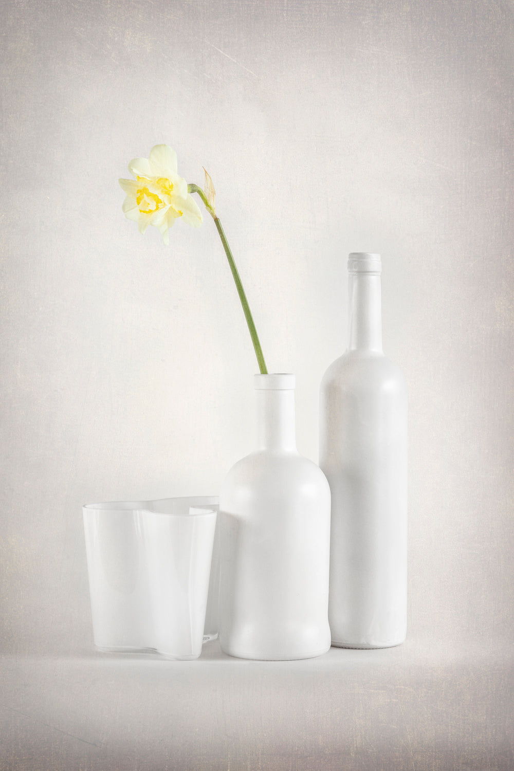 WhiteBloom Poster och Canvastavla