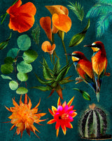 Cactus Collage.png Poster och Canvastavla