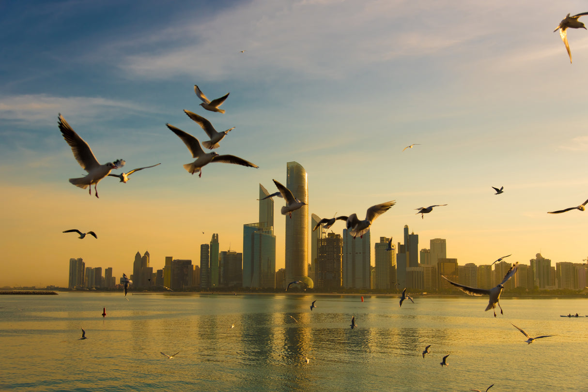 Good Morning Abu Dhabi Poster och Canvastavla