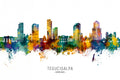 Tegucigalpa Honduras Skyline Poster och Canvastavla