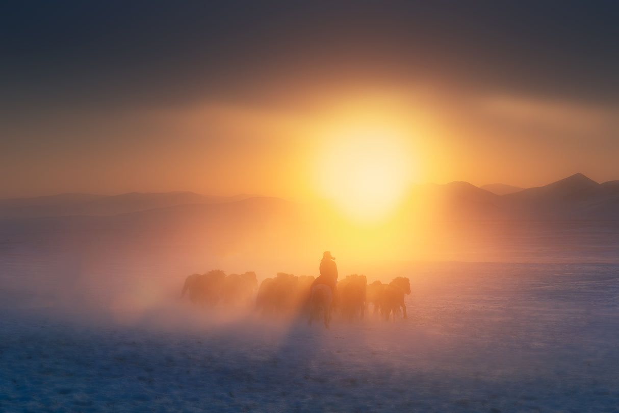 The herdsman Poster och Canvastavla