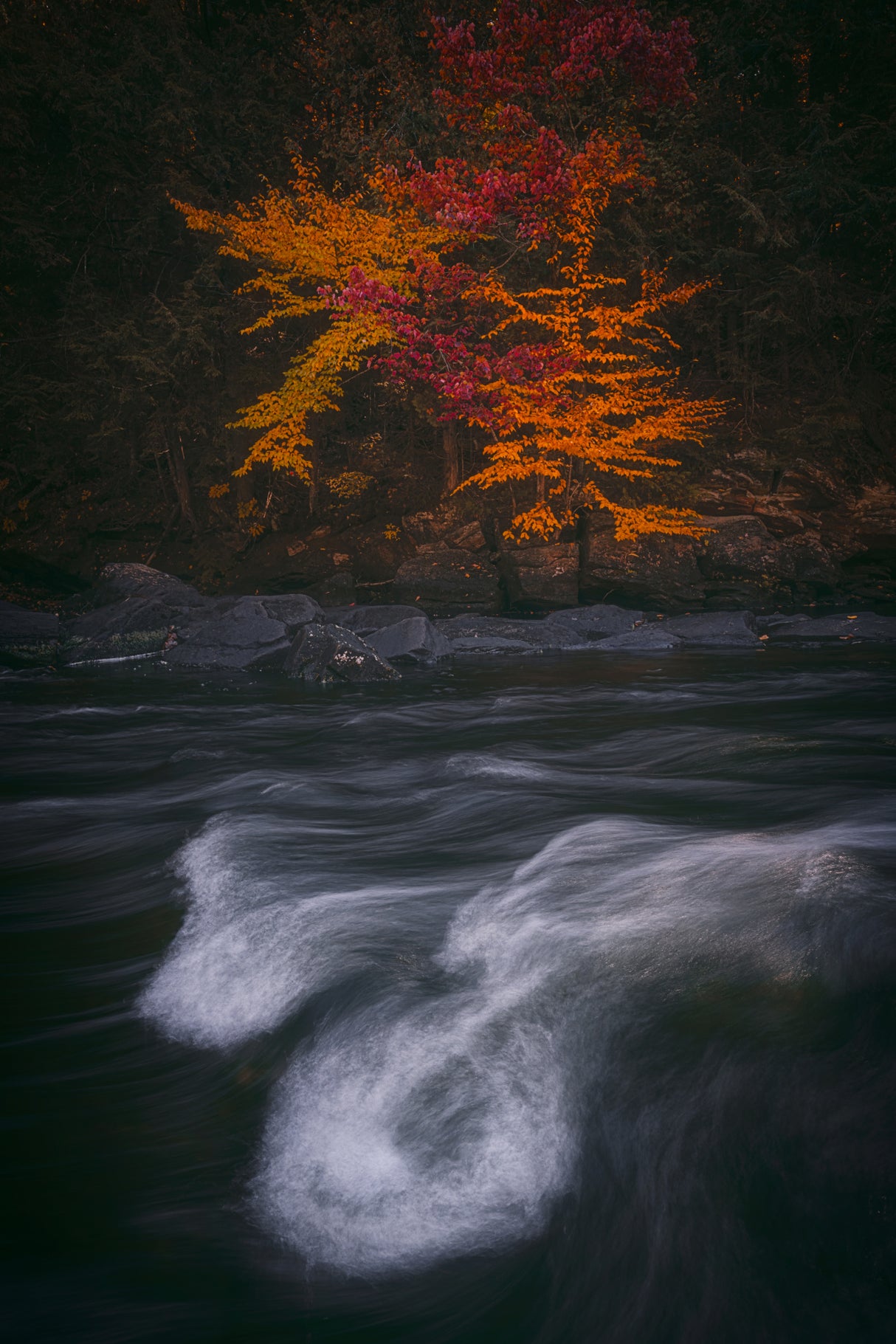 Autumn Impression Poster och Canvastavla
