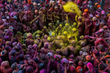 Samaj of Holi festival Poster och Canvastavla