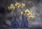 Orchids Poster och Canvastavla