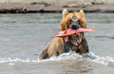 Fishing Poster och Canvastavla