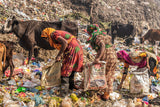 Cittagong garbage field Poster och Canvastavla