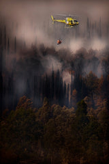 Fire in the Cilento National Park - Italy Poster och Canvastavla