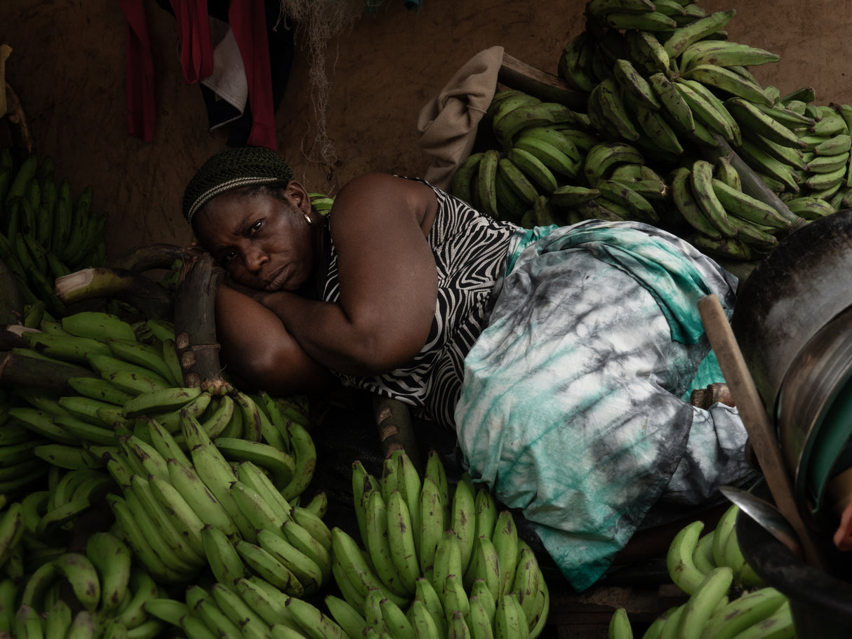 having a rest among the bananas Poster och Canvastavla