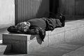 Lunch Nap. Poster och Canvastavla