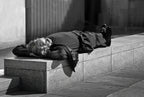 Lunch Nap. Poster och Canvastavla