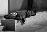 Lunch Nap. Poster och Canvastavla