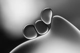 Silvery Shapes Poster och Canvastavla