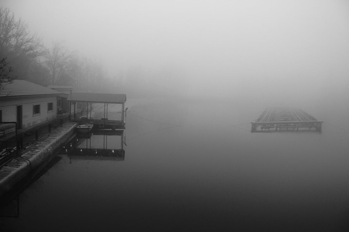 Foggy day Poster och Canvastavla