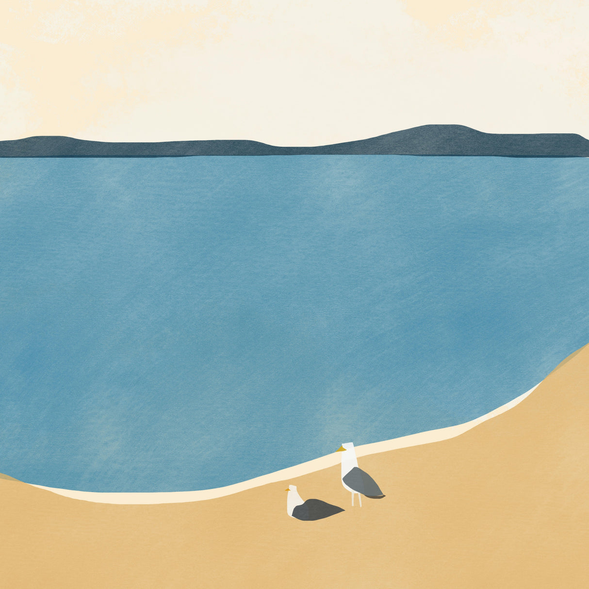 Seagull Couple Poster och Canvastavla
