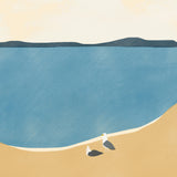 Seagull Couple Poster och Canvastavla
