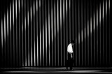 With light Poster och Canvastavla
