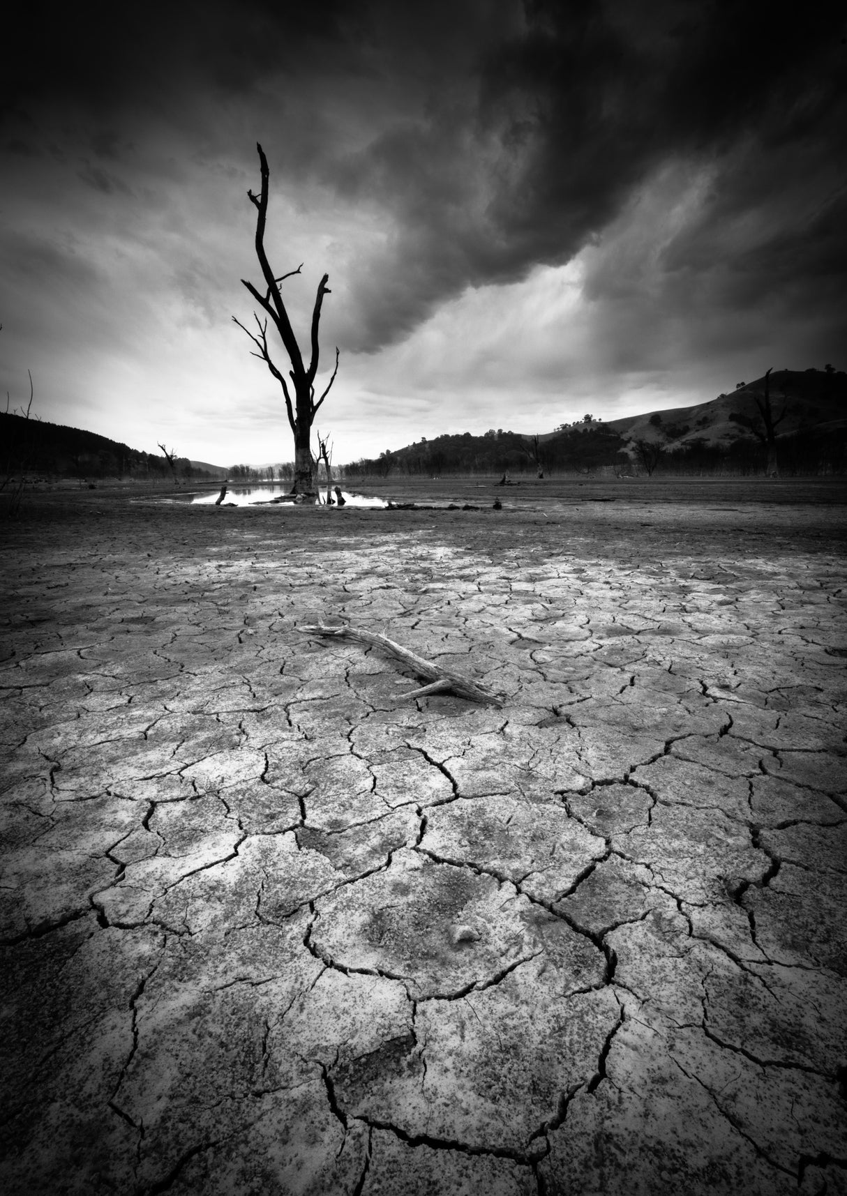 Dry River Poster och Canvastavla