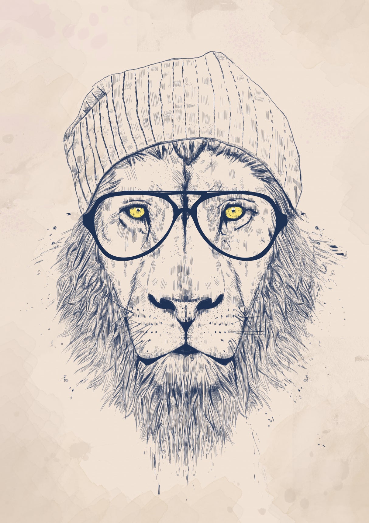 Cool lion Poster och Canvastavla