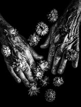 The flowering of my age Poster och Canvastavla