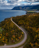 To The Sea Poster och Canvastavla