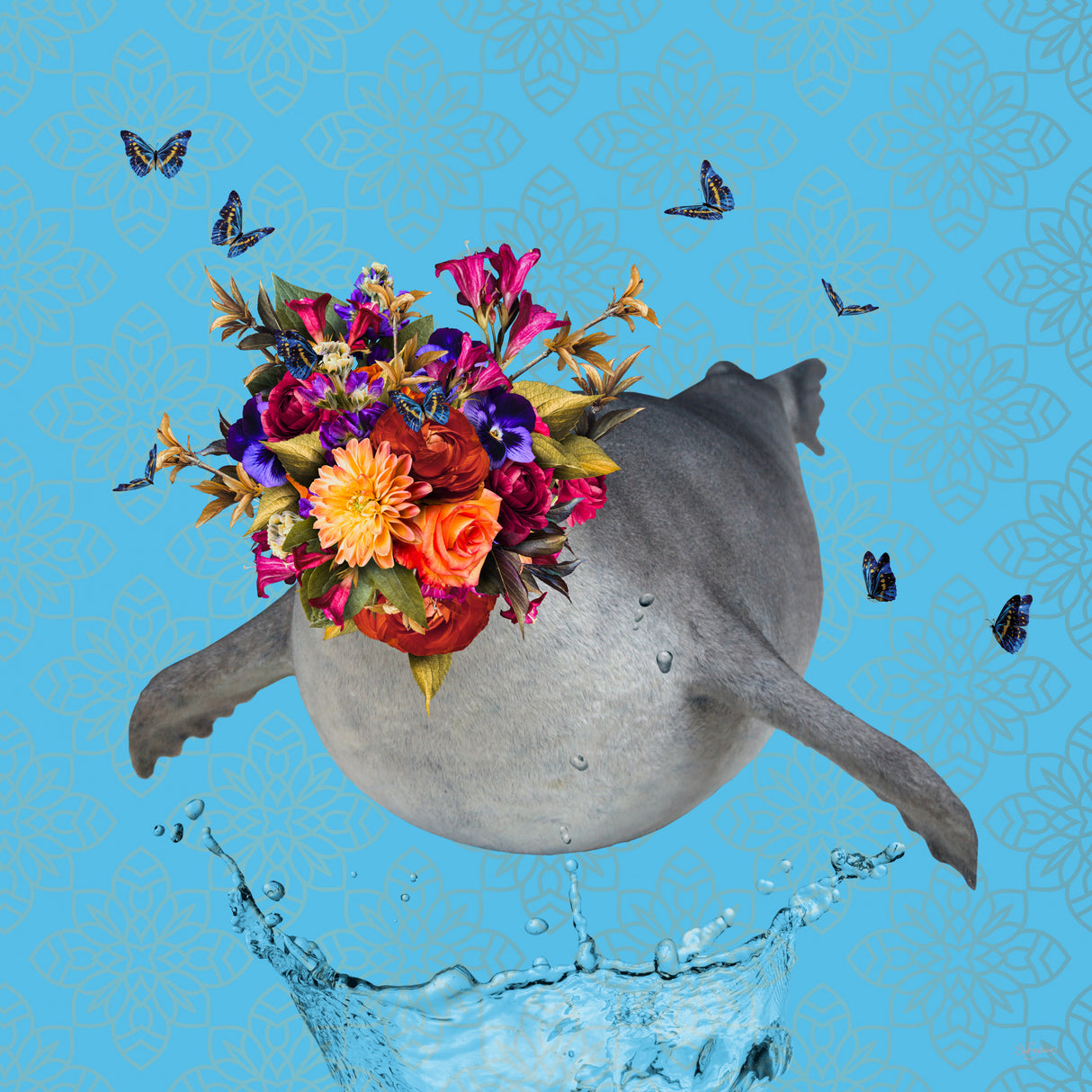Spring Flower Bonnet On Seal Poster och Canvastavla