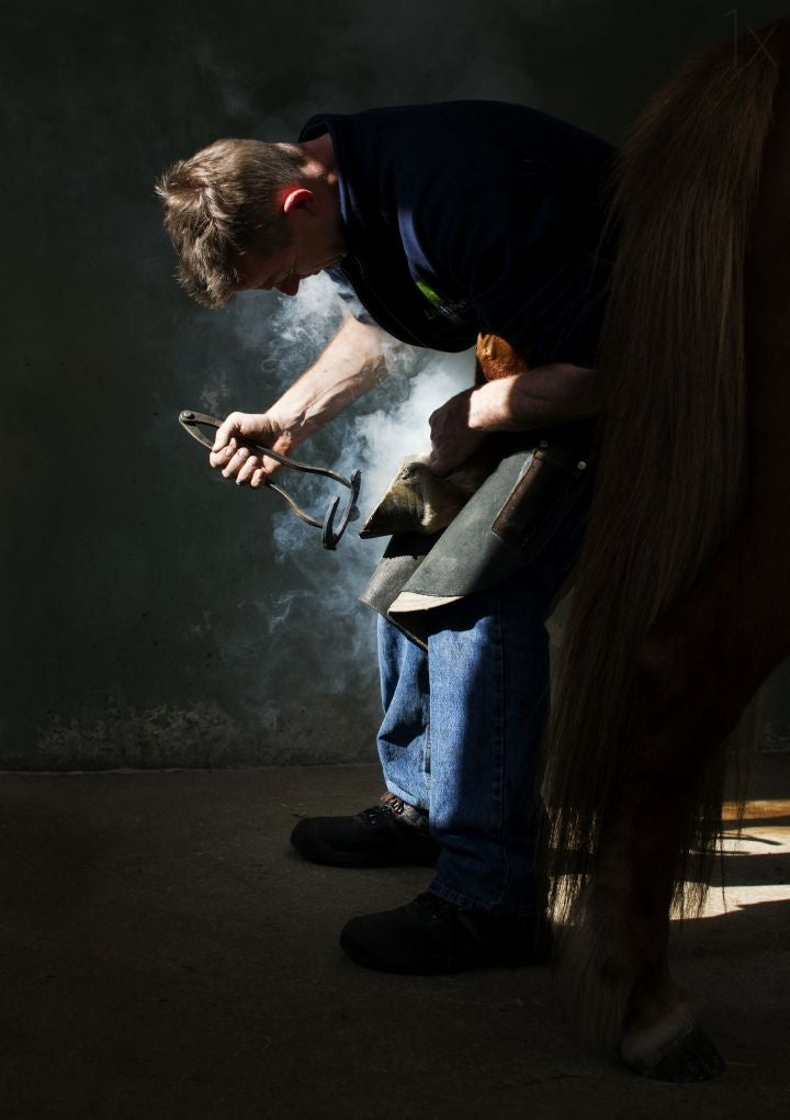 Farrier at work Poster och Canvastavla