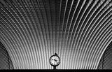 Curvature of Spacetime Poster och Canvastavla
