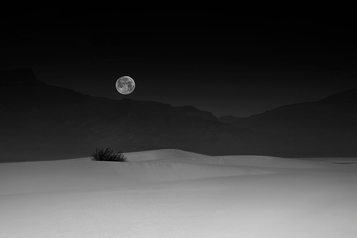 Full Moon over White Sands Poster och Canvastavla