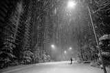 Winter Time Poster och Canvastavla