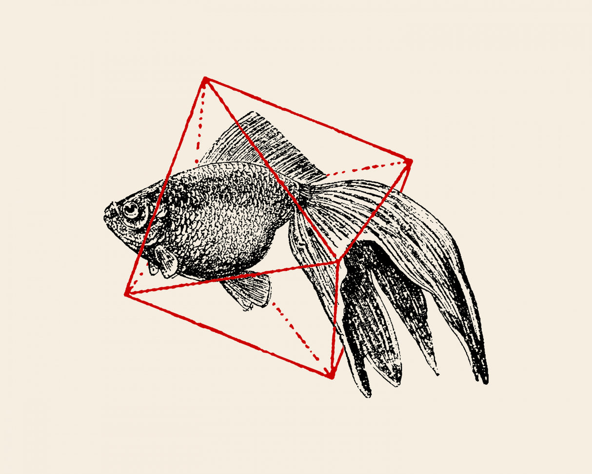 Fish In Geometrics Nº3 Poster och Canvastavla