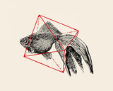 Fish In Geometrics Nº3 Poster och Canvastavla