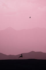 真实世界 Poster och Canvastavla