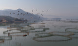 An aquaculture farm at Fuding Poster och Canvastavla
