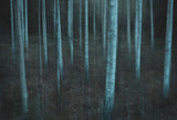 ICM v3 Poster och Canvastavla
