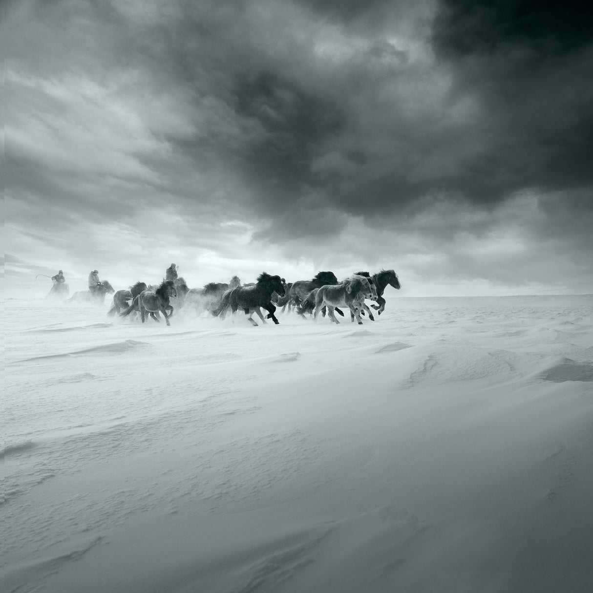 Snowy field Poster och Canvastavla